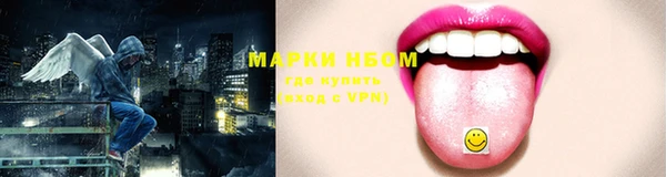 прущие грибы Алексеевка