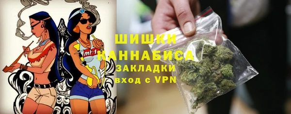 соль ск Алзамай