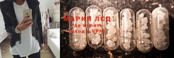 прущие грибы Алексеевка